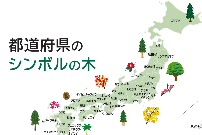 都道府県の木アイキャッチ画像