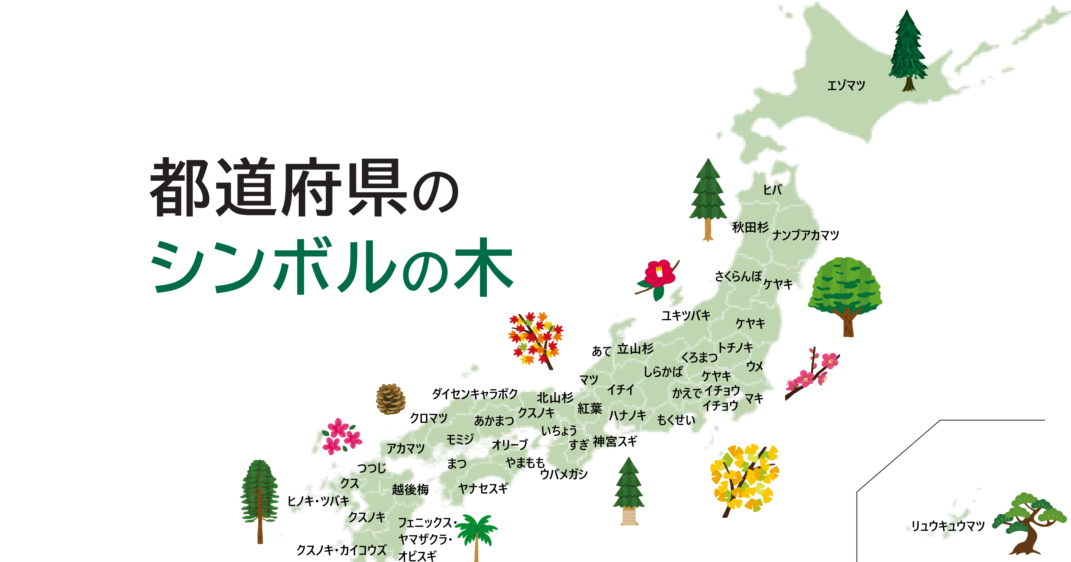 47都道府県の木を紹介！地域ごとの傾向はある？